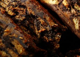 Touchdown Chocolate Bars