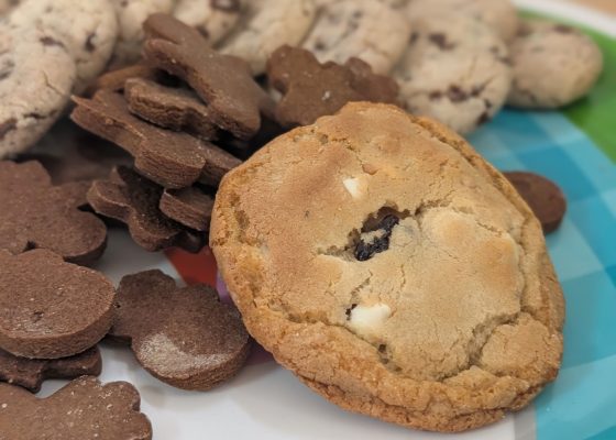 White Chocolate Chip Macadamia Cookies with Dried Cherries