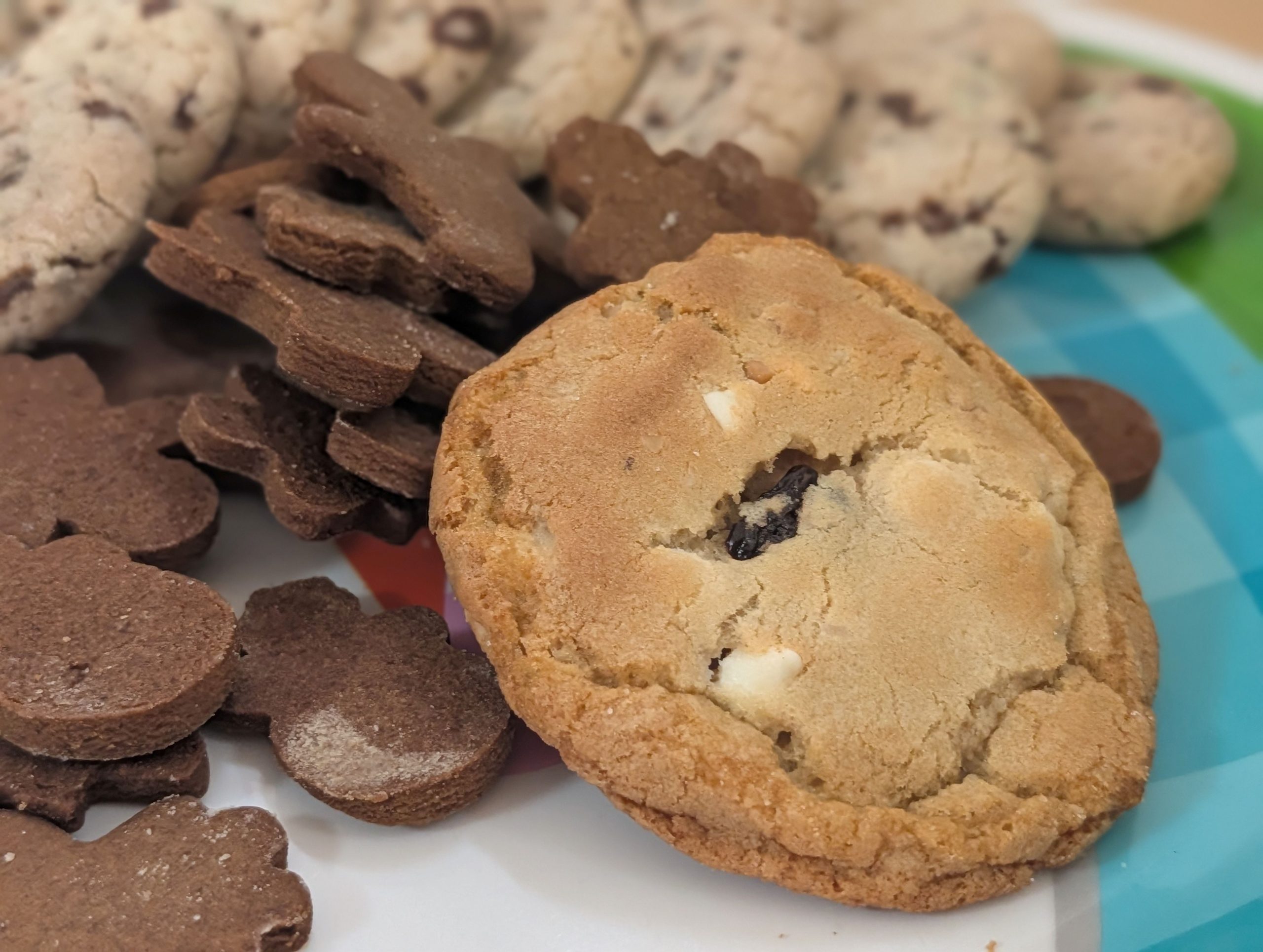 White Chocolate Chip Macadamia Cookies with Dried Cherries | Ash Family Cookbook